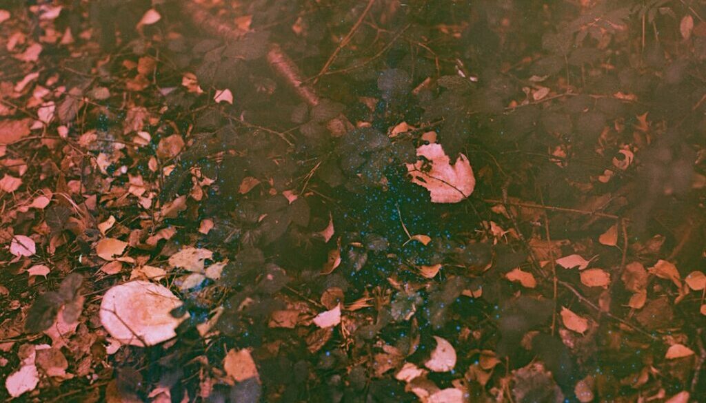 Interpretacja filmu "Zimna wojna" - kluczowe sceny i ich znaczenie