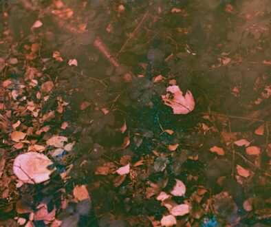 Interpretacja filmu "Zimna wojna" - kluczowe sceny i ich znaczenie