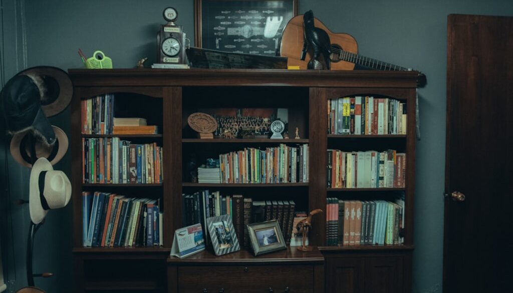 Prywatna historia kina - jak budować własną bibliotekę filmową?