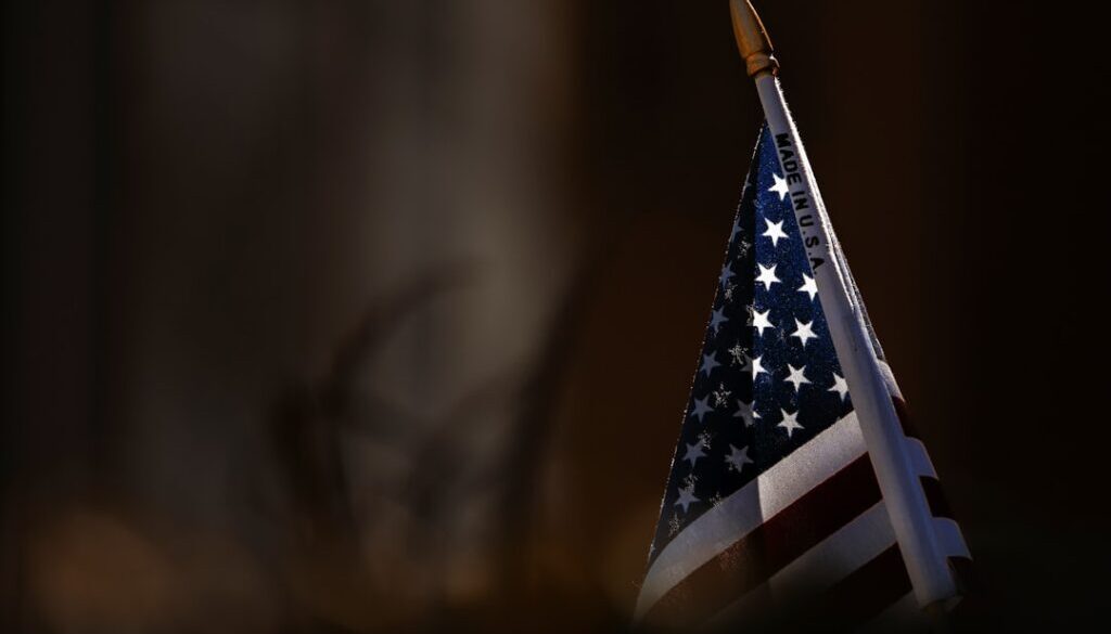 Polski film w USA - jak radzi sobie na amerykańskim rynku filmowym?