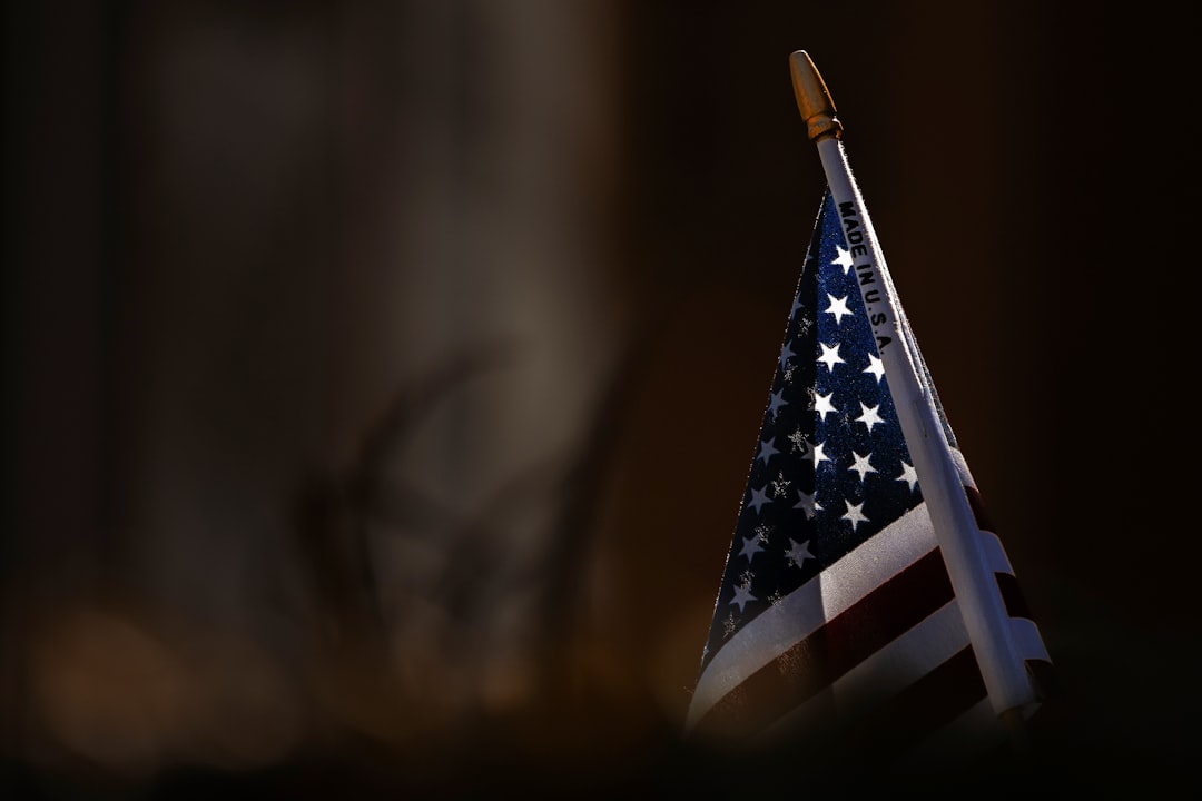 Polski film w USA - jak radzi sobie na amerykańskim rynku filmowym?