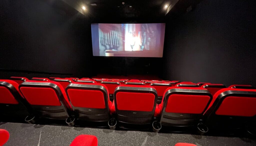 Sieć kin studyjnych w regionach wiejskich - spojrzenie na dostępność kina artystycznego